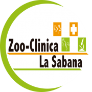 zooclinicalasabana.com