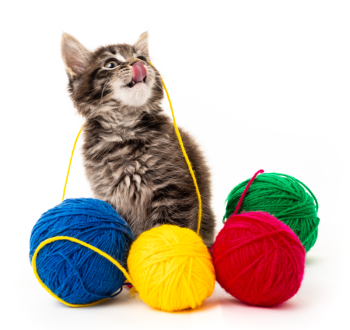 Gallery image thumbnail