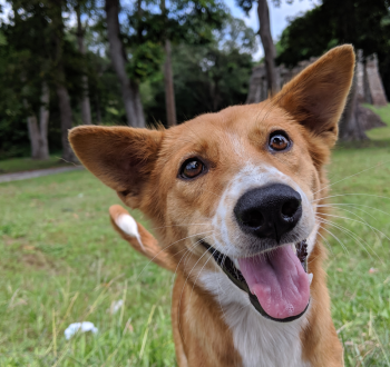 Gallery image thumbnail