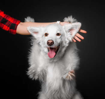 Gallery image thumbnail