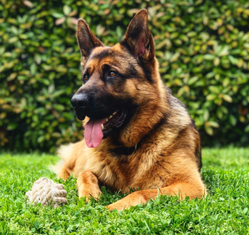 Gallery image thumbnail