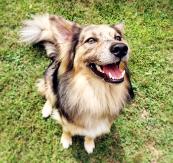 Gallery image thumbnail